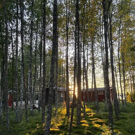 Saunamoekki Kurjenrahkan Kansallispuistossa شاليه Poytya