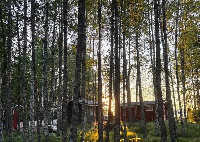 Saunamoekki Kurjenrahkan Kansallispuistossa Σαλέ Poytya